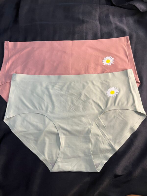 Ice Silk Comfortable Panty for Women - Image 3