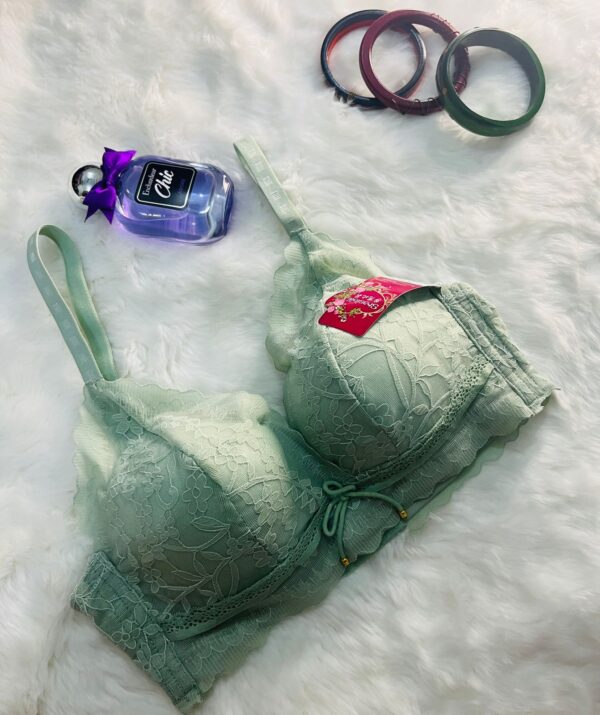 Lace Padded Floral Bra - Image 4